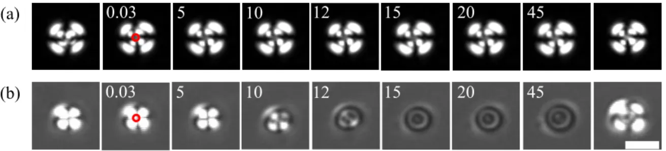 Figure 2. Sequences of time evolution POM images of an individual smectic 5CB droplet optically trapped by a highly  focused trapping beam; (a) at 130 mW (or 60 MW/cm 2 ), and (b) at 850 mW (or 360 MW/cm 2 )