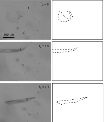 Figure 1. Microscopic images of crystallization process of anthracene upon single shot irradiation of 16.5 mJ pulse 1 