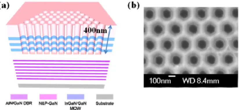 Fig. 1 (a). Schematic diagram of the overall PCSEL structure; (b) Top view SEM images of PC pattern with Hexagonal  lattices