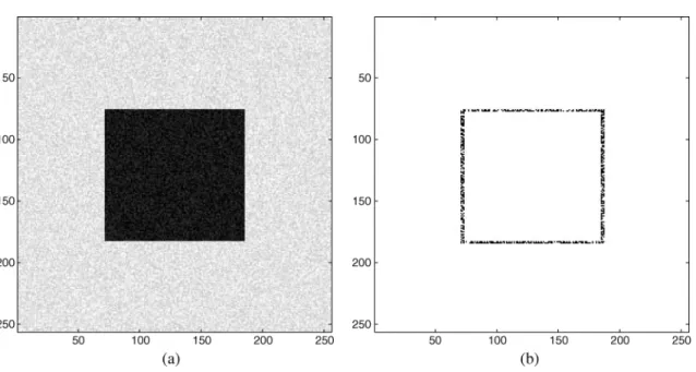 Fig. 7. (a) Image “Noisesquare.” (b) Pixels for which (1) is satisfied. used in the experiments are from the website of TMW 1 [20]