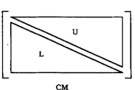Figure  4.  Triangular-like  decomposition  of the  CM  matrix 