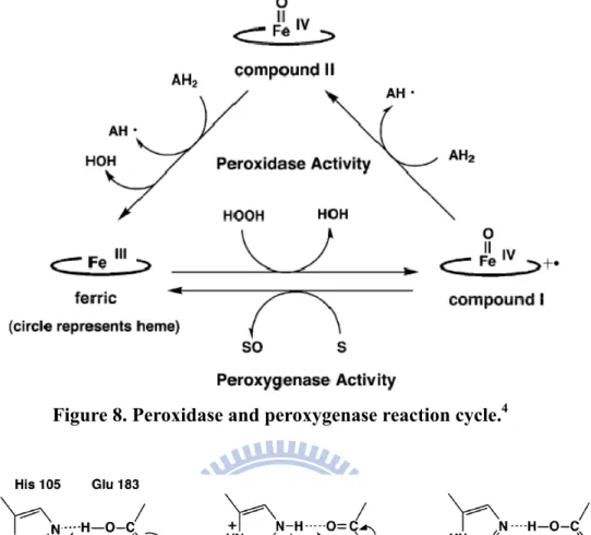 Figure 8. Peroxidase and peroxygenase reaction cycle. 4