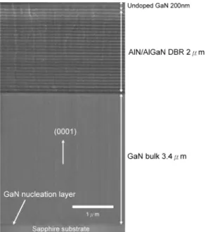 Fig. 1. SEM image of the epitaxial structure from cross-sectional view. The ultraviolet AlN/AlGaN DBR contains 25 periods of =4 pairs.