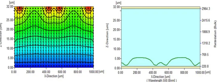 Figure 7. Liquid crystal directors direction (left), phase retardation in X-Z section (right) 