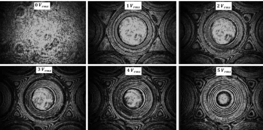 Figure 8. The interference patterns in LC lenses for applied voltages 0-5 volts. 