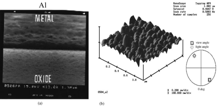 Fig. 6. The SEM photograph and AFM 3-D image of LPD oxide surface (a) The smooth selective LPD oxide surface on GaN