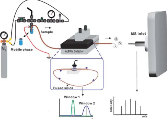 Fig. 2 TDA result plots and mass spectra obtained using the system shown in Fig. 1 after the optimization of relevant parameters: (A) tryptophan, (B)  angio-tensin II, and (C) myoglobin
