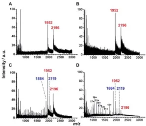 Fig. 3 TDA-mass spectra of myoglobin (10 4 M) obtained at di ﬀerent dry gas temperatures: (A) 160  C, (B) 180  C, (C) 220  C, and (D) 260  C
