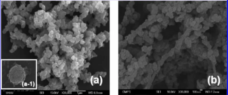 FIGURE 9. SEM images of the nanostructures of polypyrrole formed in C 4 mim[FeCl 4 ] without (a) and with (b) an external magnetic field