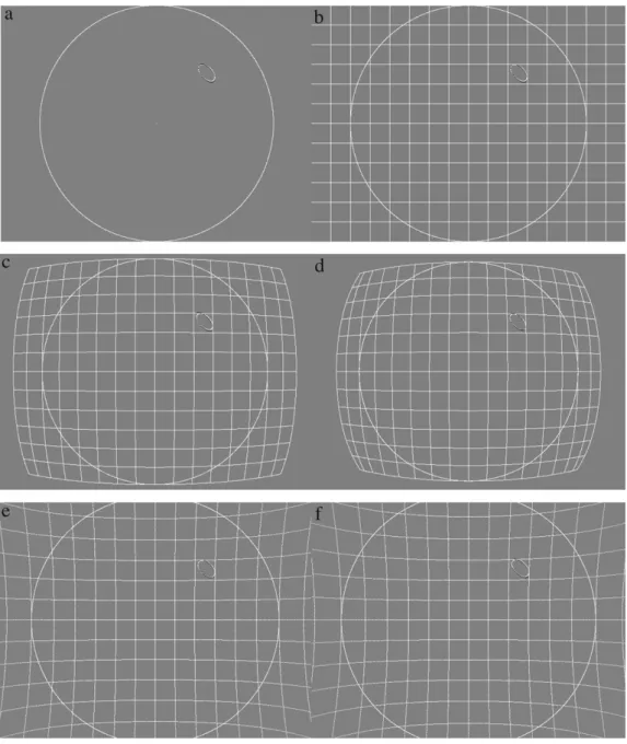 Fig. 7. Examples of successful detection of elliptical shapes. In (a)–(f), the elliptical shapes of simulated landmark images are marked by white pixels