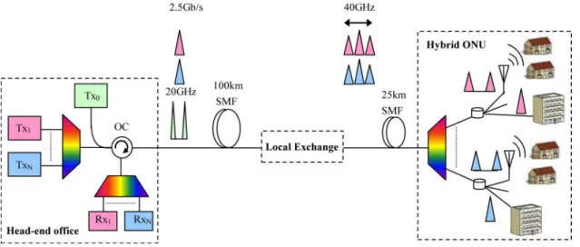 Fig. 1. Conceptual diagram of the proposed hybrid PON. Transmitter: Tx, receiver: Rx, optical circulator: OC, single mode fiber: SMF, optical network unit: ONU.