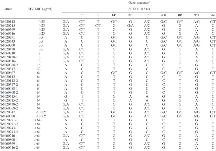 TABLE 3. Sequence of different genes of 33 C. tropicalis isolates