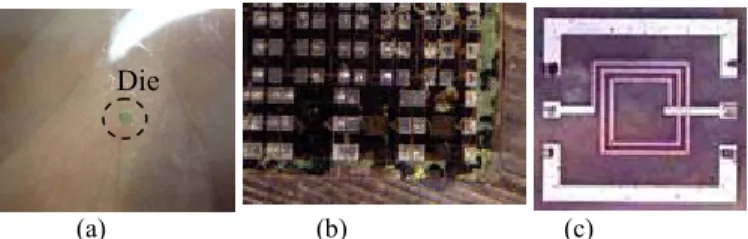 Fig. 1.   (a) Image of a 30  µm thick RF MOSFET die on transparent  plastic. (b) Enlarged image of a die of multiple-gate 0.18  µm  MOSFETs on plastic