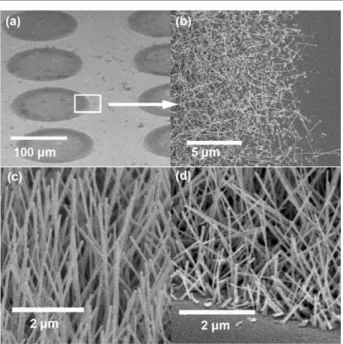 Figure 2. FE–SEM images of the SIO NWs: (a) large area of the selective synthesis process of SIO NWs, (b) a zoom in photograph of the edge of the 100 µm diameter metal mask for selective growth, (c) 45 ◦ tilted view for 10 µm length and ∼80 nm diameter of 