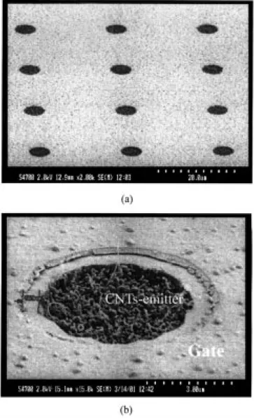 Fig. 3. (a) Field emission current versus gate voltage, with anode was set at 600 V and (b) F–N plot of the fabricated device; the linearity clarifies the field emission phenomenon.
