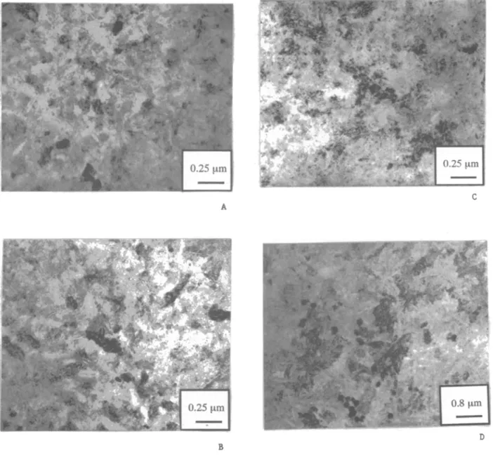 Fig. 6. BF micrographs of the 600~  annealed  BF~-implanted specimens with dosage of (a) 4E 14 ion/cm 2, (b) 2E 15 ion/cm 2, (c) 1E 16 ion/cm 2  at 67  keV, and  (d) 2E15  ion/cm 2 at 98  keV for  24  h annealing