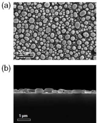 Fig. 5. Morphology of dewet In prior to bonding. (a) Top view and (b) cross sectional view.