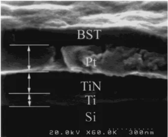 Figure 1 shows a cross-sectional scanning electron microscope (SEM) micrograph of the BST capacitor with 300 ◦ C-deposited BST films