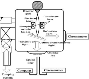 Fig. 1. Schematic diagram of the luminescence measurement system.