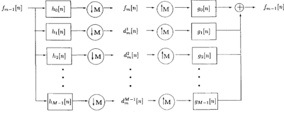 Fig.  1.  Filter  bank  " m e   in  !\I-ary  biorthonormal  wavelet  transform. 