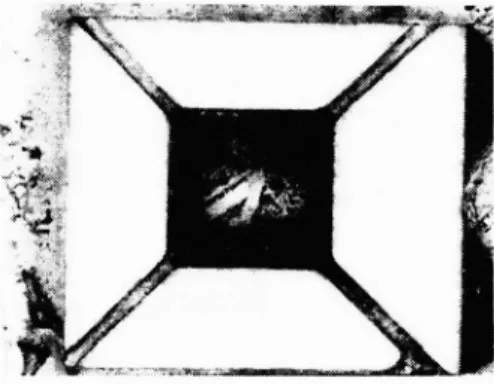 Fig. 12. The structure processing by excimer laser become a NiFe block supported by four beams