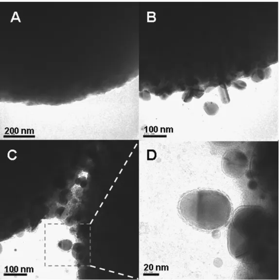 Fig. 5. TEM images of QDs binding on the surface of magnetic bead. (a) The magnetic bead without QDs binding, (b and c) are QDs binding on the magnetic bead after labeling