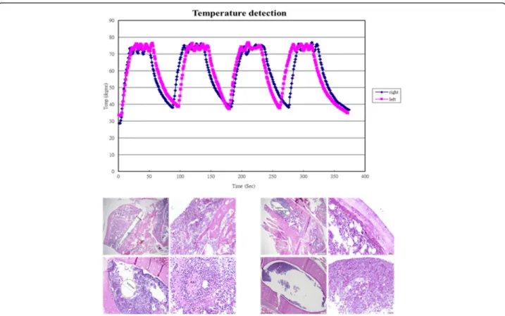 Fig. 5 Tissue damage after thermotherapy (H &amp; E staining). Left: The needle at 75 °C for 90 s by magnetic heating (each 30 s heating with a rest for 1 min), Right: The needle at 75 °C for 120 s by magnetic heating (each 30 s heating with a rest for 1 m