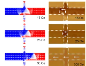 Fig. 4. Probability distributions of the depinning field of a DW in each type of the samples.