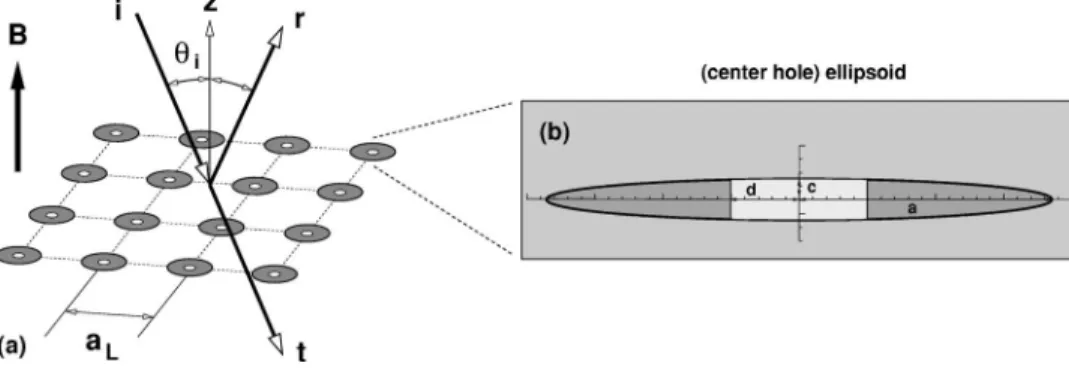 FIG. 1. Schematic diagram of magneto-optical phenomena in a layer of nanorings. a L lattice 