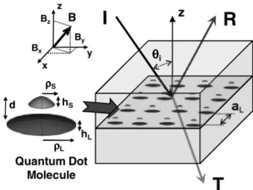 FIG. 1. Schematic of the magneto-optics of a layer of embedded semiconductor quantum dot molecules.