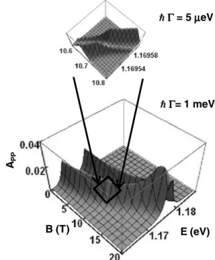 FIG. 8. Absorbance for a monolayer of InAs/GaAS QDMs in 兵d 1 , B 关1兴 其 configuration.