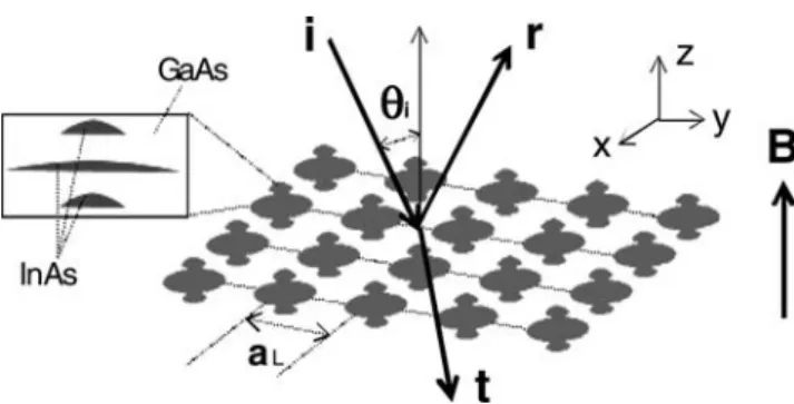 Figure 1  Schematic of magneto-optical response from a layer of 