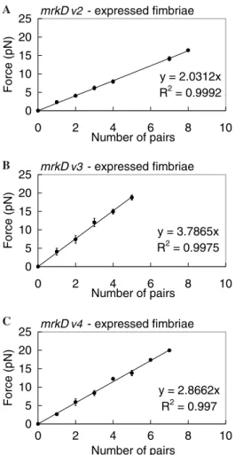 Fig. 3. The adhesive force against the number of (A) mrkD V2 -, (B) mrkD V3 -, (C) mrkD V4 - expressed ﬁmbriae adhered to collagen IV.