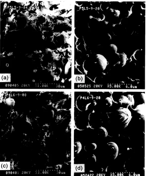 Figure 6  The SEM micrographs of (a) 50/50 P64/PC mixed at 290' for 4 min, (b) 50/50 P64/PC mixed at 290"C for 20 min, (c) 60/40 P64/PC mixed at  290"C for 8min and (d) 60/40 P64/PC mixed at 290°C for 20min 