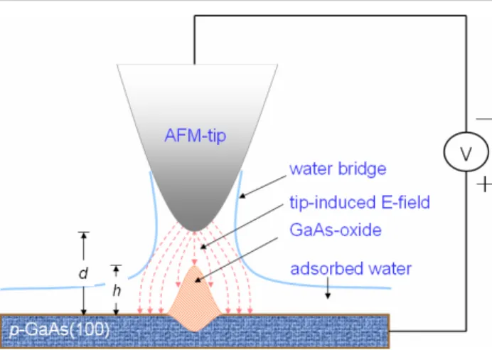 Figure 1. Schematic of the principle of AFM anodization. Here, d,