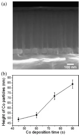 Fig. 1 shows the SEM image of Co particles electrodeposited in the AAO template for 75 s