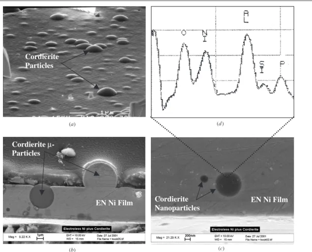 Figure 2. (Counter-clockwise from top-left) (a) An oblique view of a blanket-deposited electroless-nickel (EN Ni)-cordierite film shows that particles are well-embedded in the nickel matrix