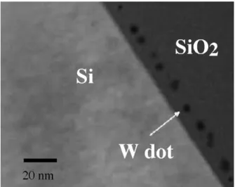 Fig. 3. Cross-section TEM image of the W nanocrystals embedded in the SiO2.