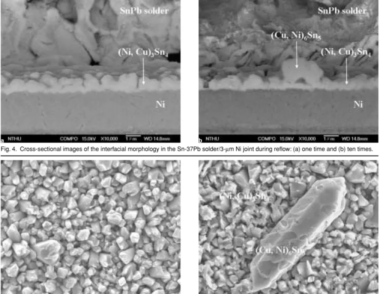 Fig. 5. Top-view micrographs of the interfacial compound in the Sn-37Pb solder/3- µm Ni joint during reﬂow: (a) one time and (b) ten times.
