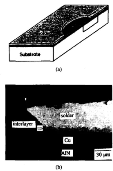 Fig. 10.  Cross-sectional view of the fracture surface for the soldered sample  after thermal  storage at  15OOC  for 25  h  (a) schematic diagram and  (b)  SEM  micrograph