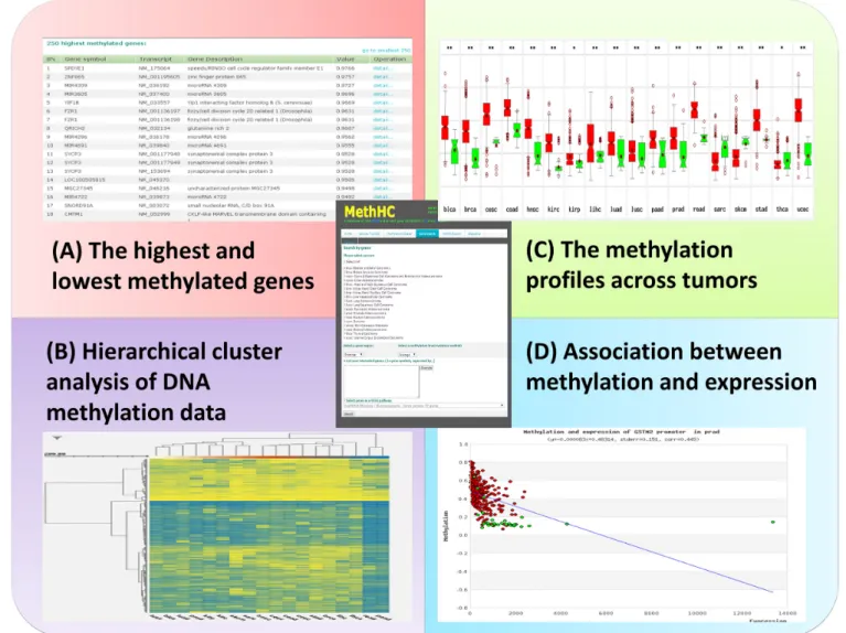 Figure 2. Illustrative screenshot of the MethHC interface.