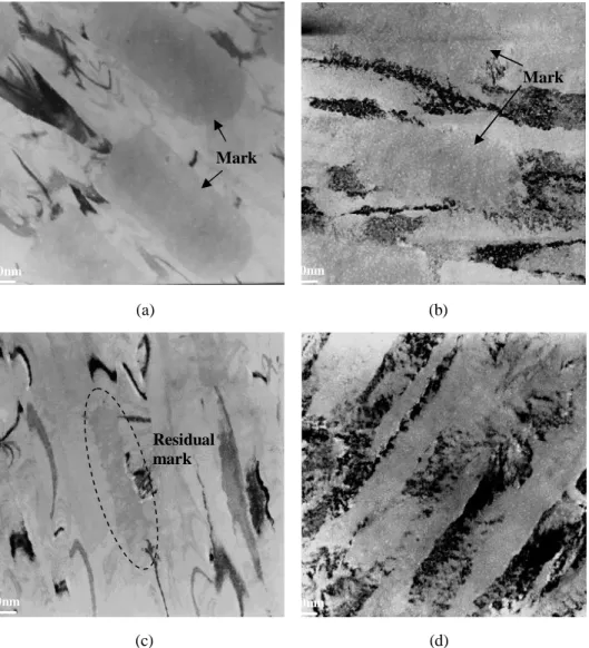 Figure 4 The micrographs of 8T signal marks of (a) N000 disk sample written at the linear velocity of 7 m/sec and (b) N030 disk  sample written at the linear velocity of 10.5 m/sec