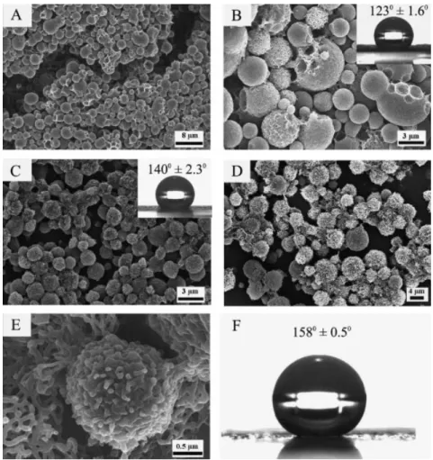 Figure 6. TEM images of 20 mg of PVPh 79 -b-PS 21 . The volume ratio of THF and toluene is 1:2.
