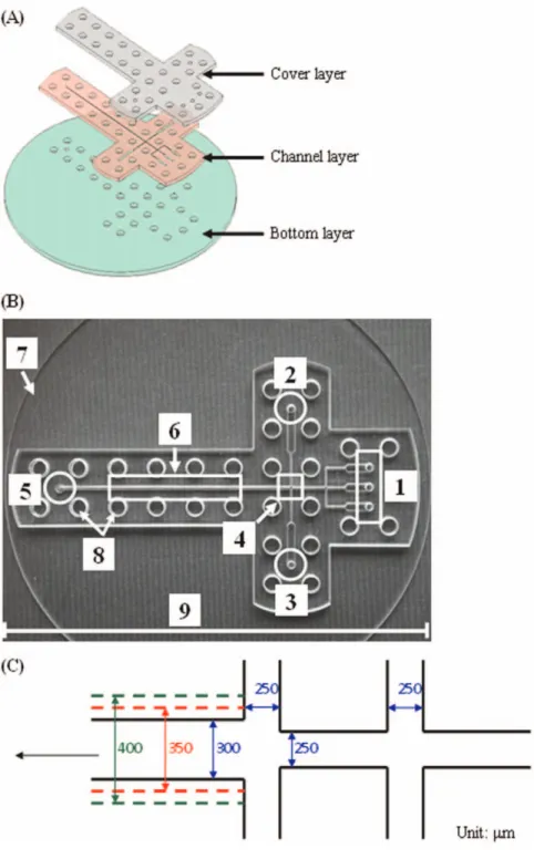 Figure 1. Microfluidic chip. Expanded view (A) and a photo (B) of the microfluidic chip: 1, inlets of center channels; 2 and 3, inlets of side channels; 4, cross junction; 5, outlet; 6, observation channel; 7, bottom layer disk; 8, screw orifices; 9, the s