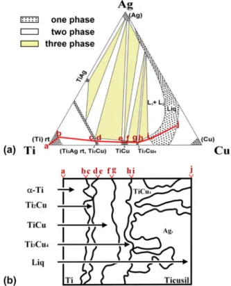 FIG. 6. TEM results of the microstructure: (a) morphology of acicular Ti 2 Cu precipitates in the a-Ti matrix on the Ti side of the Ti/Ticusil/3Y–ZrO 2