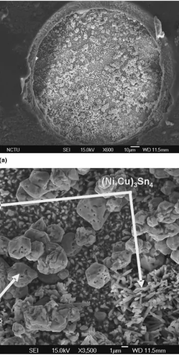 FIG. 4. Cross-sectional SEM images of the chip side after current stress of 1 × 10 4 A/cm 2 for 20 h: (a) Bump 1; (b) Bump 2