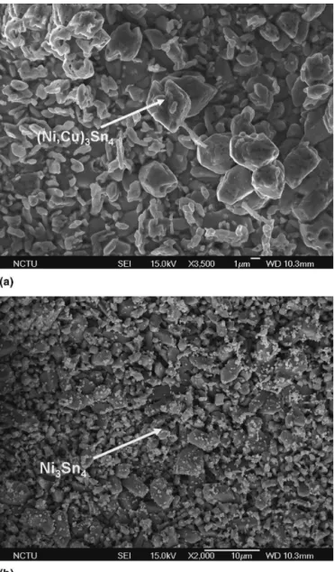 FIG. 7. Plane-view SEM images showing the morphology of the IMCs on the substrate side after stress of 1 × 10 4 A/cm 2 at 150 °C for