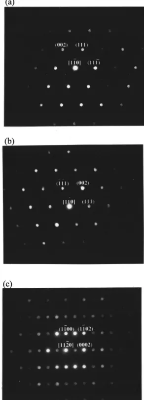 FIG. 3. EDS spectra obtained from points 共a兲 ‘‘a,’’ 共b兲 ‘‘b,’’ and 共c兲 ‘‘c’’ of Fig. 2 共b兲, respectively.