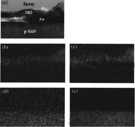 FIG. 5. Electron energy filtering mapping of the oxi- oxi-dized Ni/Au film. 共a兲 Zero loss image with a 50 eV slit width, 共b兲 Ni mapping, 共c兲 O mapping, 共d兲 Ga mapping, and 共e兲 N mapping.