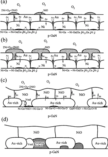 FIG. 7. Schematic illustration of the reaction mecha- mecha-nism and diffusion behavior during the oxidation of